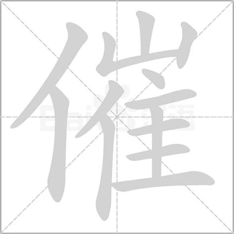 催 造詞|催的意思，催字的意思